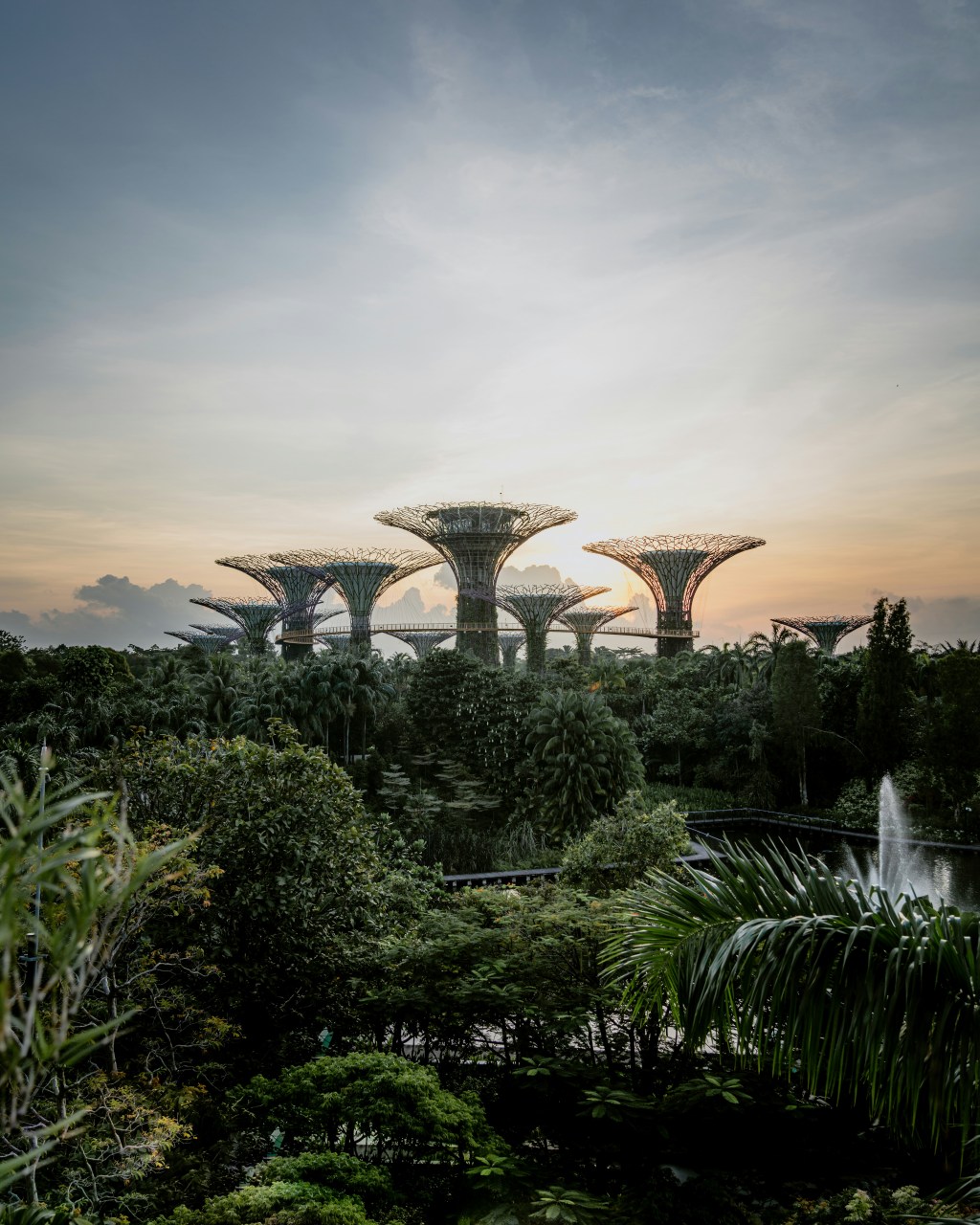 MAS PROVIDES GUIDANCE ON RISK MANAGEMENT BEST PRACTICES FOR FUND MANAGEMENT COMPANIES 